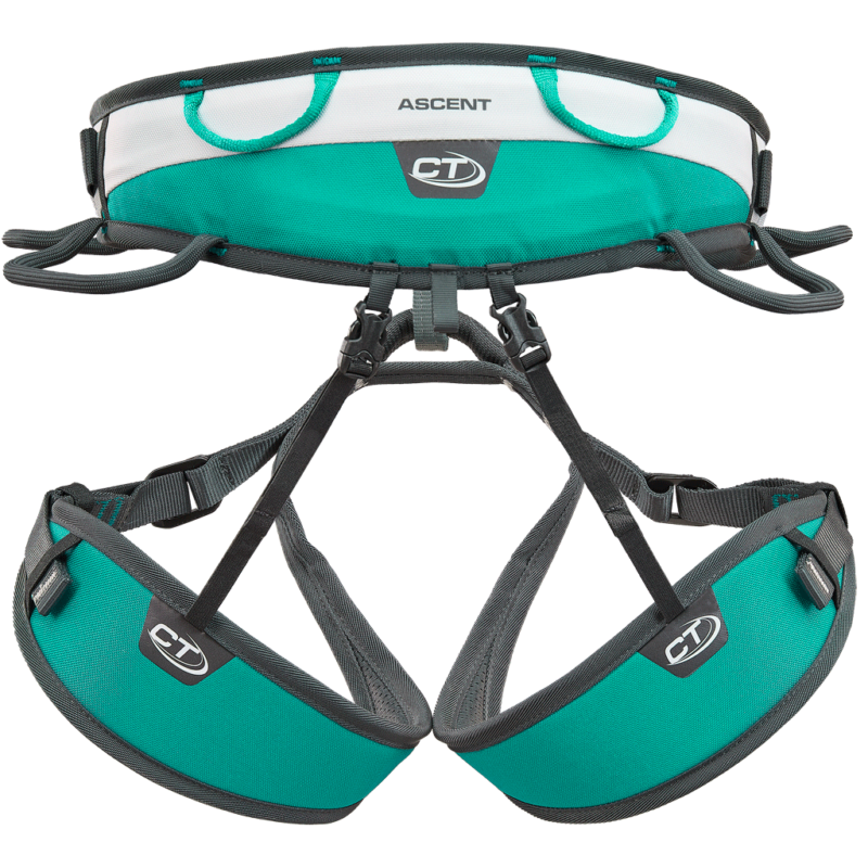 Berry QDs & Harness